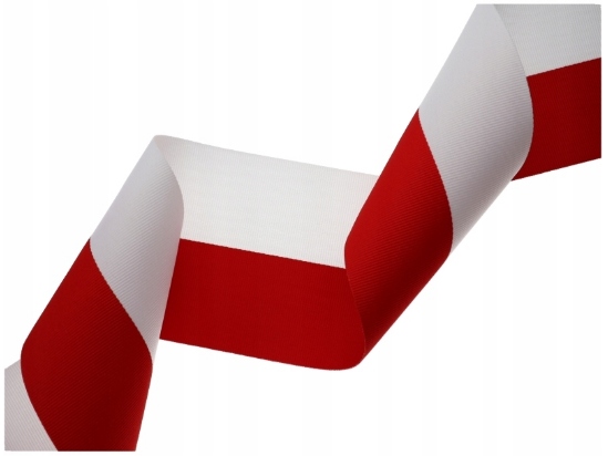TAŚMA RYPSOWA 10 CM