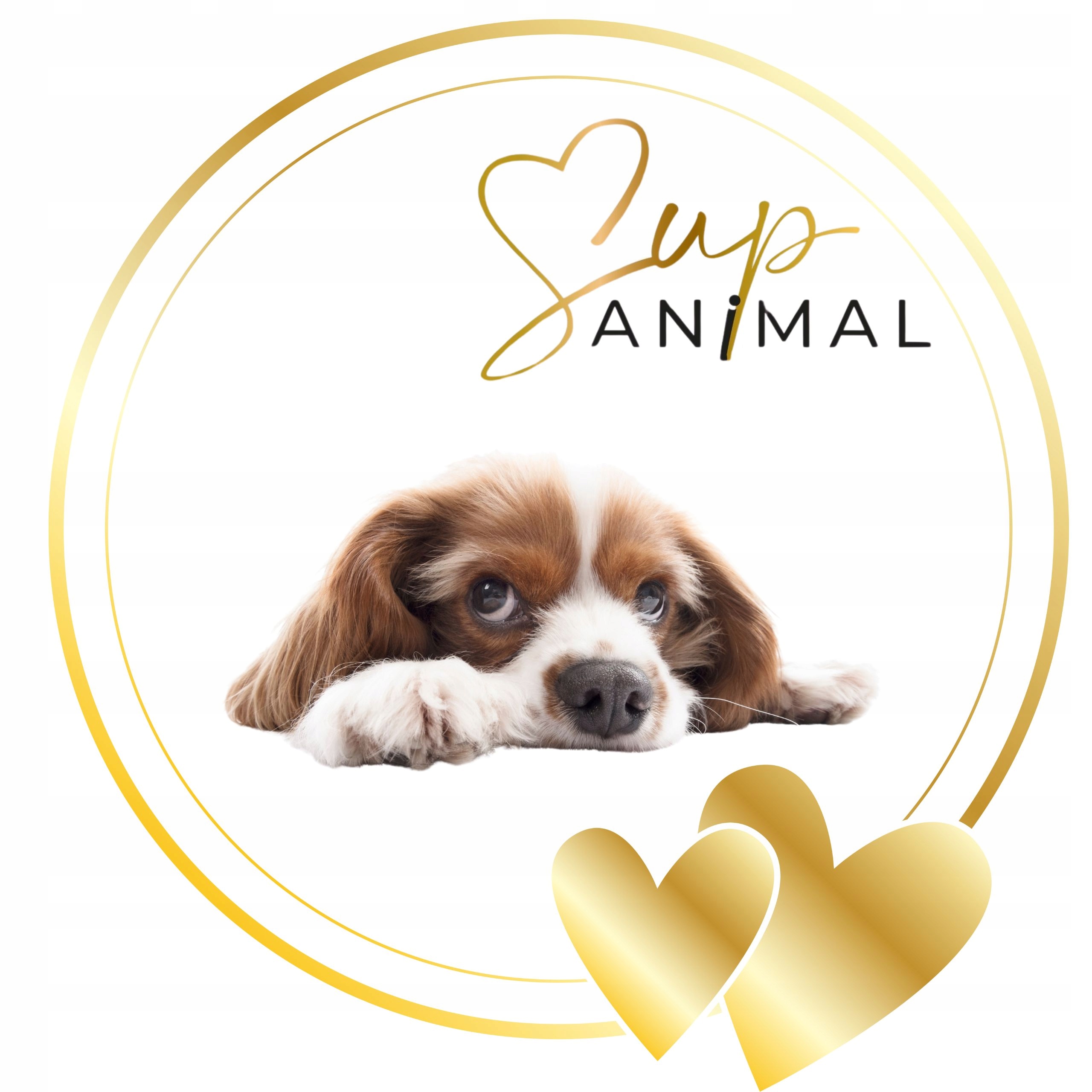 POSTBIOTYK DLA PSA MAŚLAN SupANIMAL problemy jelitowe DODATEK DO KARM PSÓW