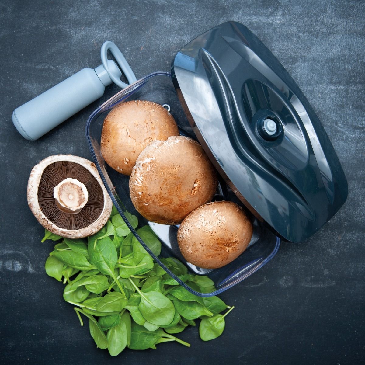 Boîte sous vide SeeYoo 2,7L Graphite
