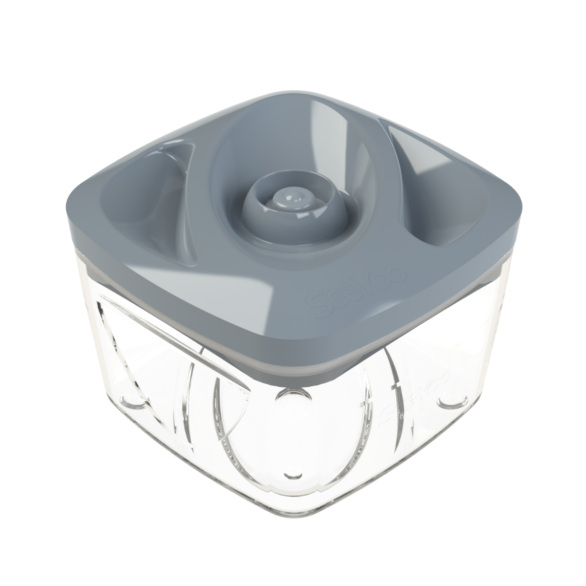 SeeYoo Contenant Alimentaire Sous Vide 0,5L en Acier Inoxydable