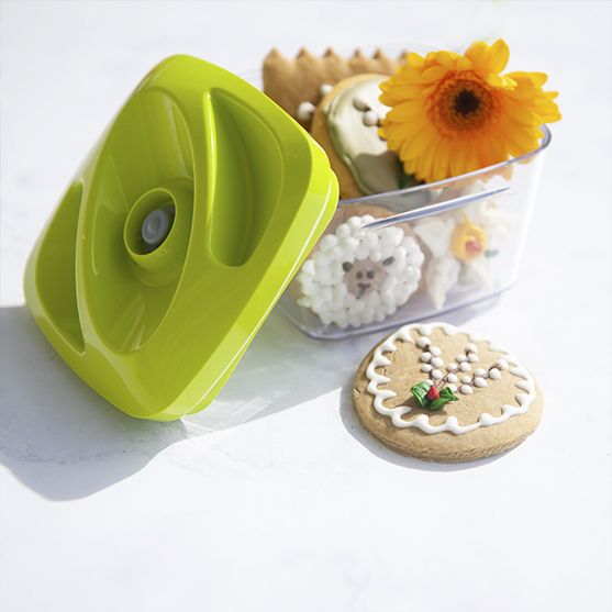 SeeYoo 0,5 L Contenant sous vide Lime