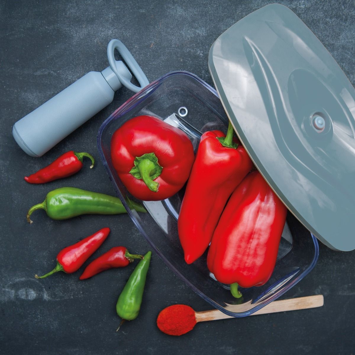 SeeYoo 2,7L Contenant sous vide pour aliments - Gris