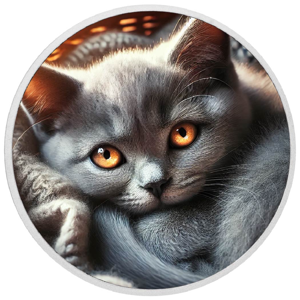 Image of  2026 Australia 1oz 9999 Silver BU Ember Eyes The Feline Flame Colourized coin