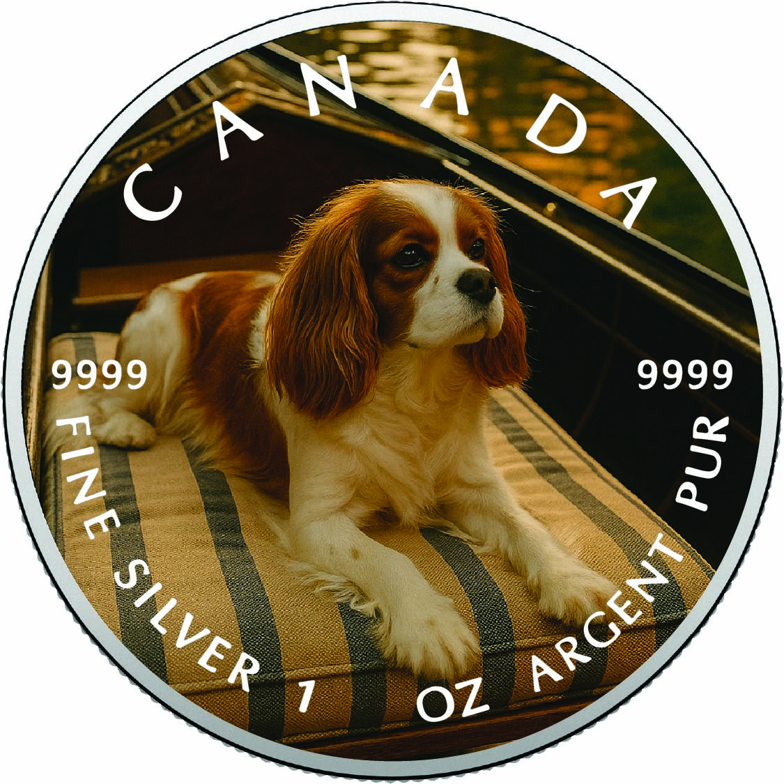 Image of   2026 Canada 1oz 9999 Silver BU The Gentle Voyager Colourized coin