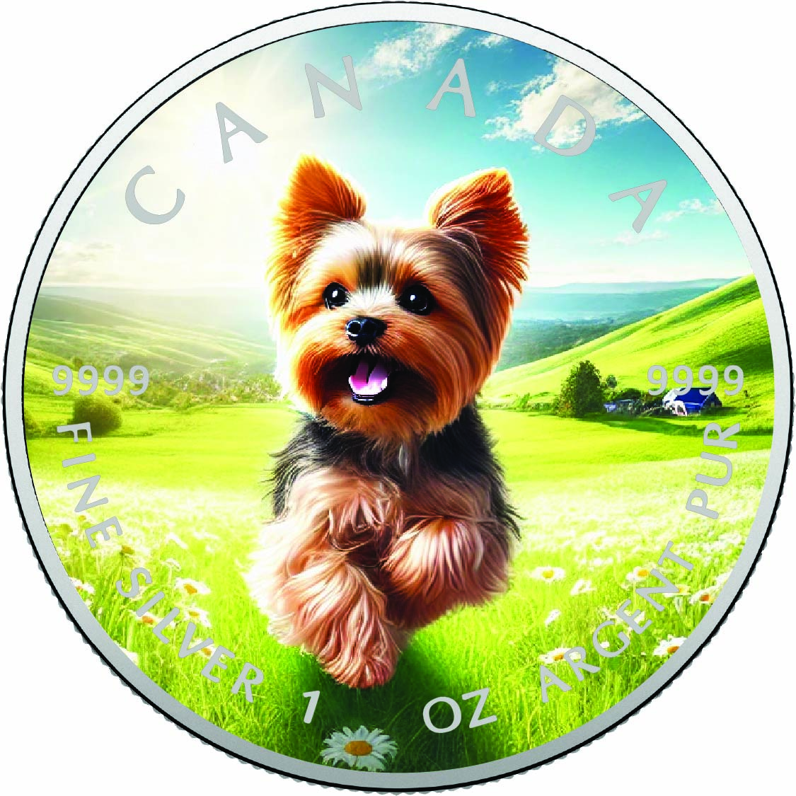 Image of   2026 Canada 1oz 9999 Silver BU The Tiny Adventurer Colourized coin