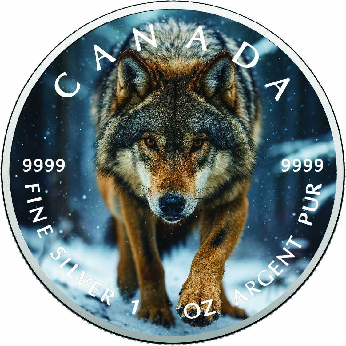 Image of  2026 Canada 1oz 9999 Silver BU Silent Stalker Wolf of Winter Woods Colourized coin