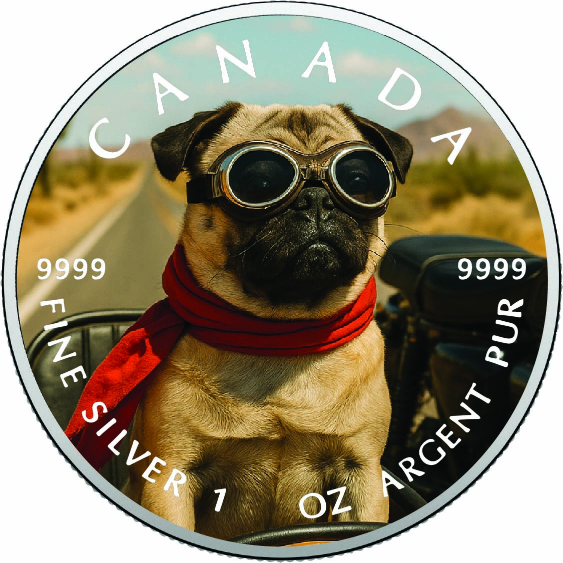 Image of   2026 Canada 1oz 9999 Silver BU The Little Adventurer Colourized coin