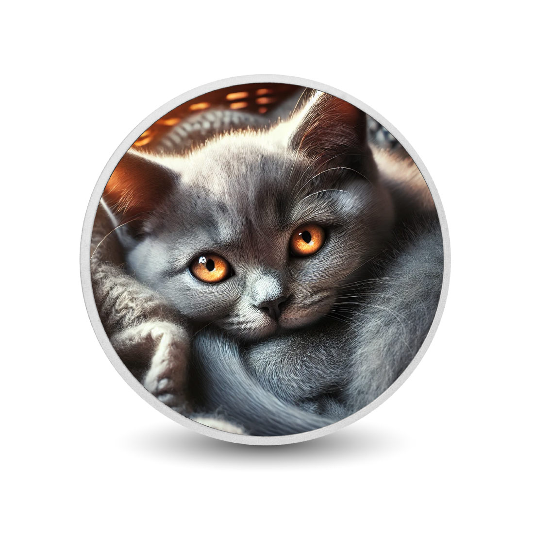 Image of  Ember Eyes: Die katzenartige Flamme 1oz Münze coin