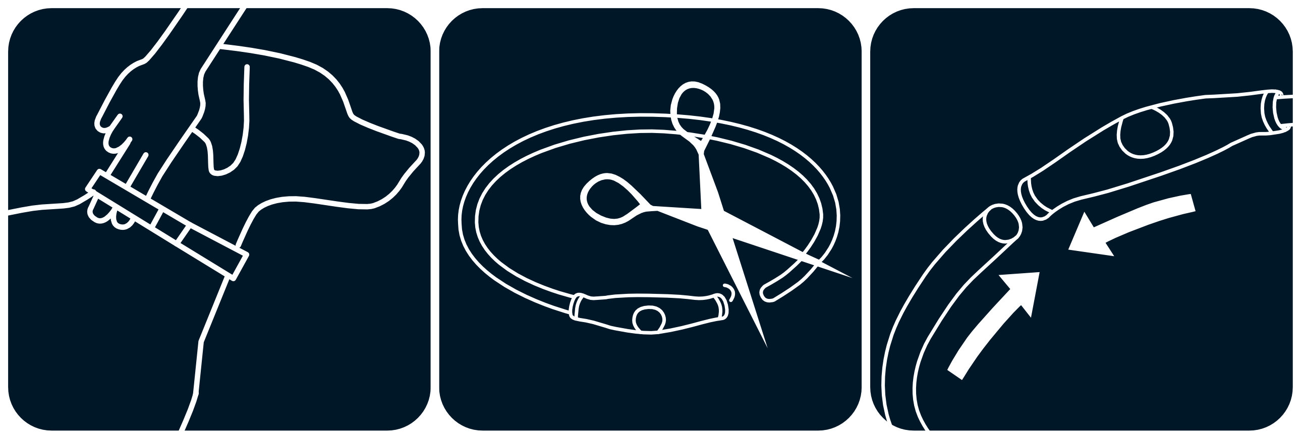 ed97e04d85348c38ba080b7b24aa4e1b