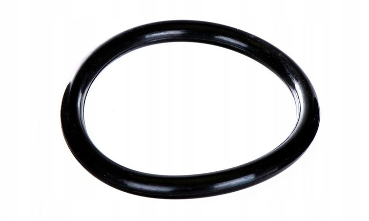 Pierścień gumowy podnośnika 54,1x5,8mm Ursus C-385 54510712