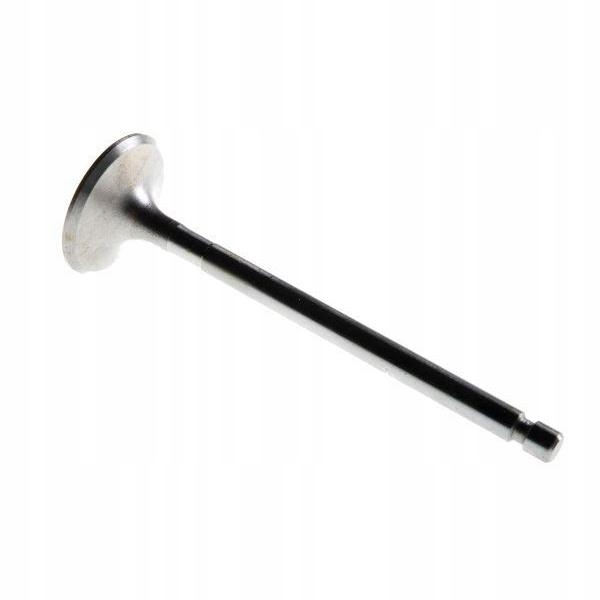 Zawór ssący 50505051 Ursus