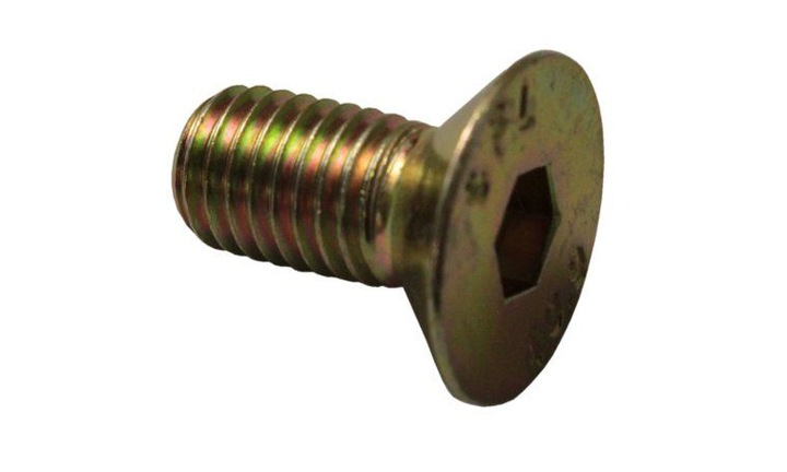 Śruba imbusowa trzymaka kosiarki rotacyjnej M12x25 5036010500