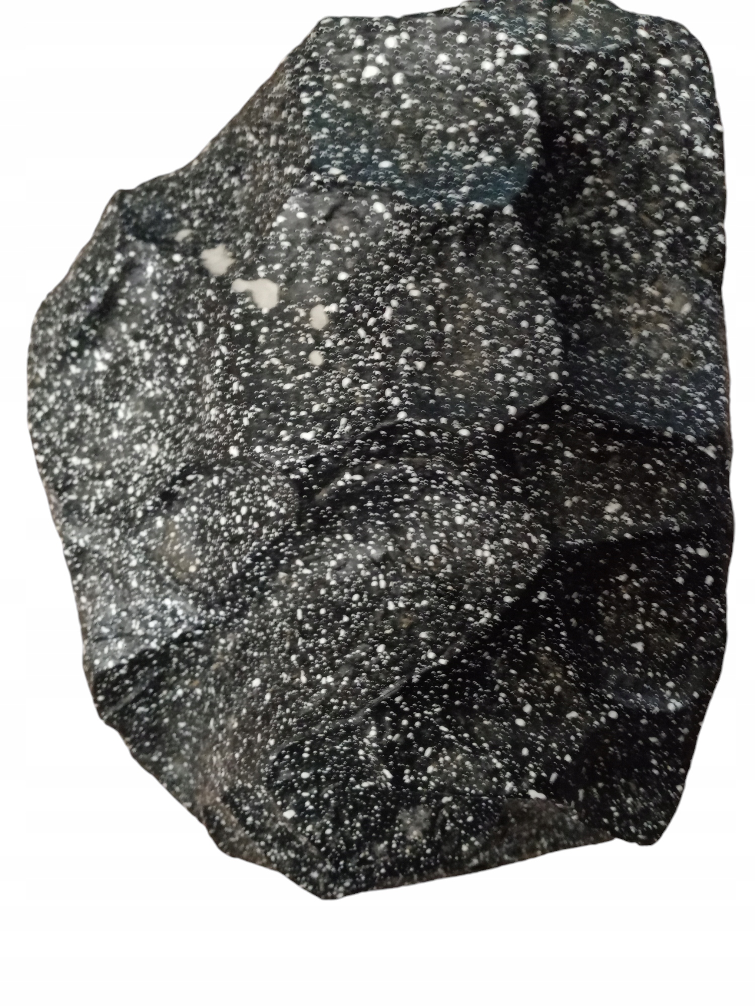 PolarisPL Pronomic SSP-1100 GR Głośnik Zewnętrzny Ogrodowy 50 W wygląd granitu