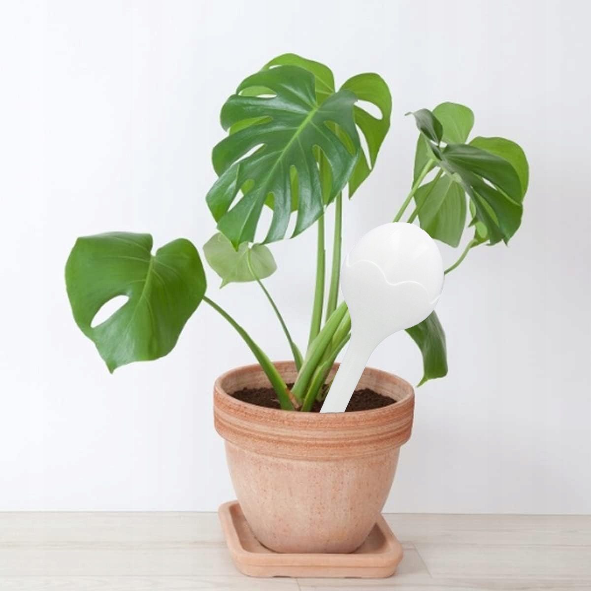 Imagine necunoscută