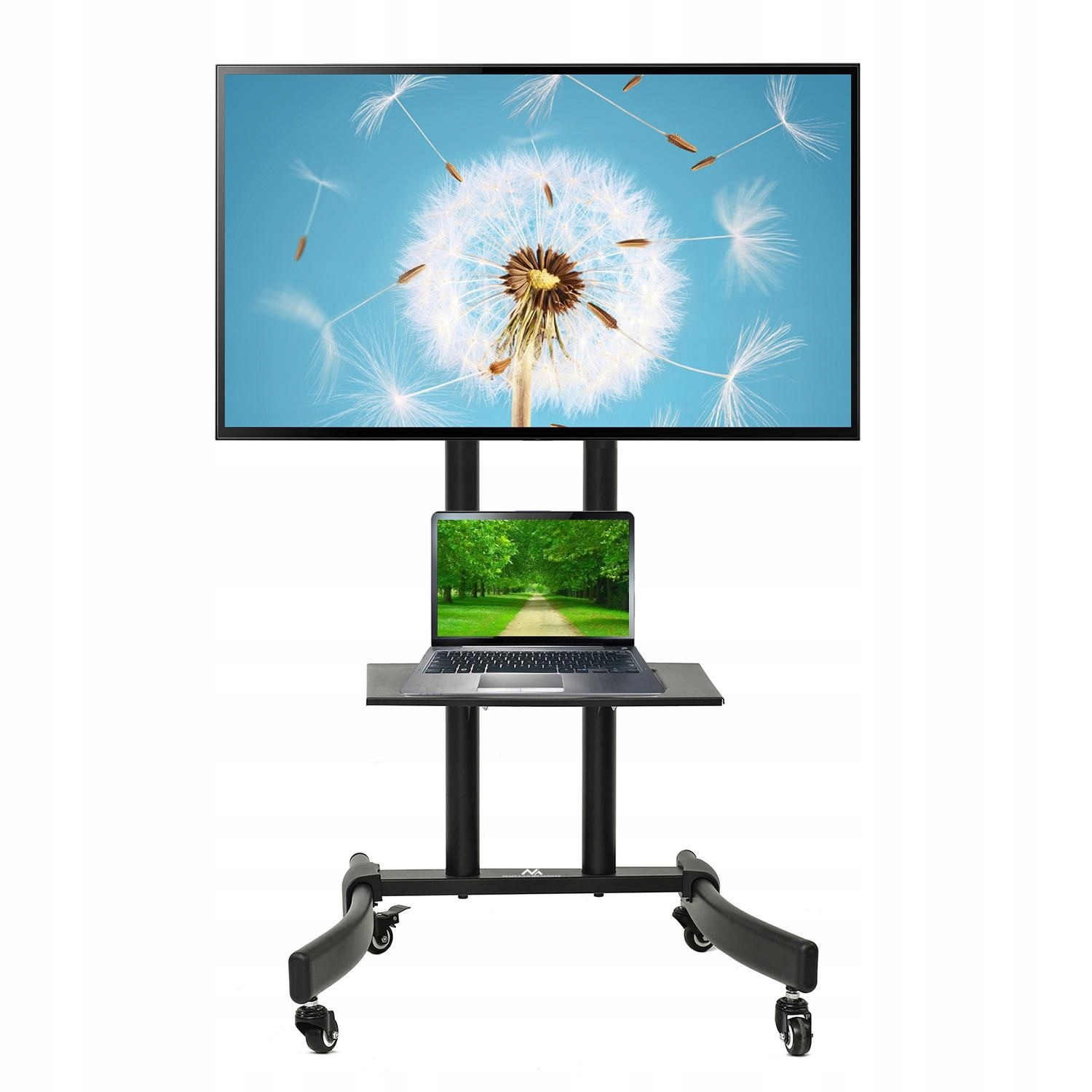 Imagine necunoscută