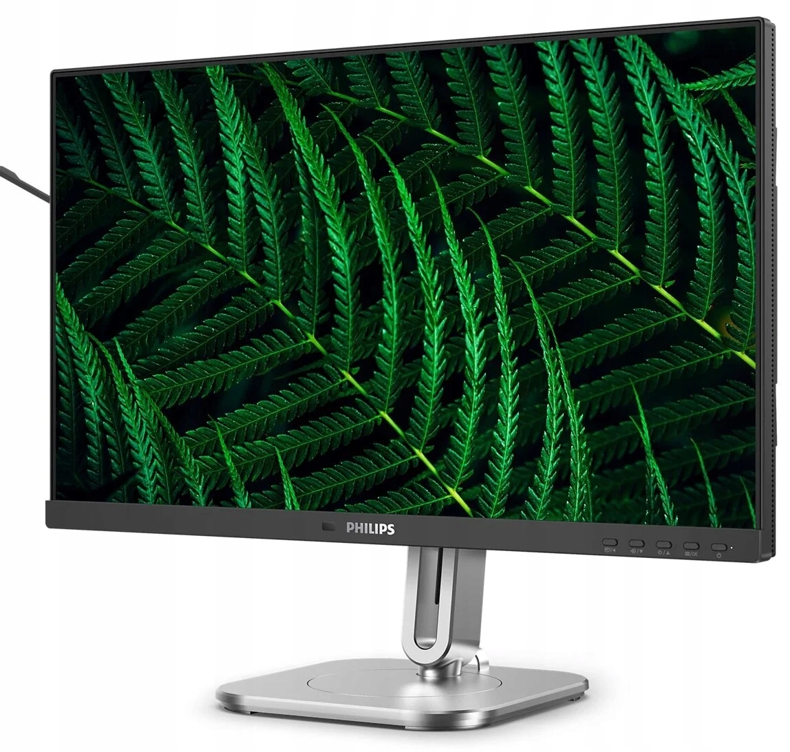 Imagine necunoscută