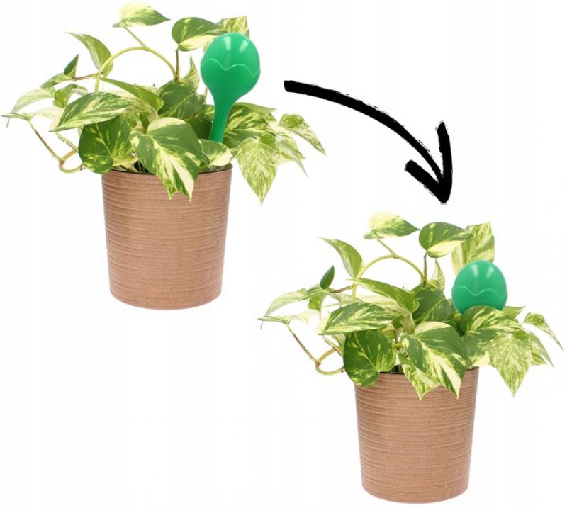 Imagine necunoscută