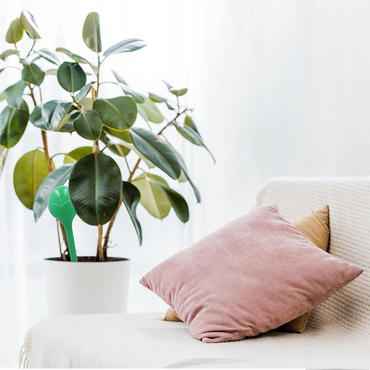 Imagine necunoscută