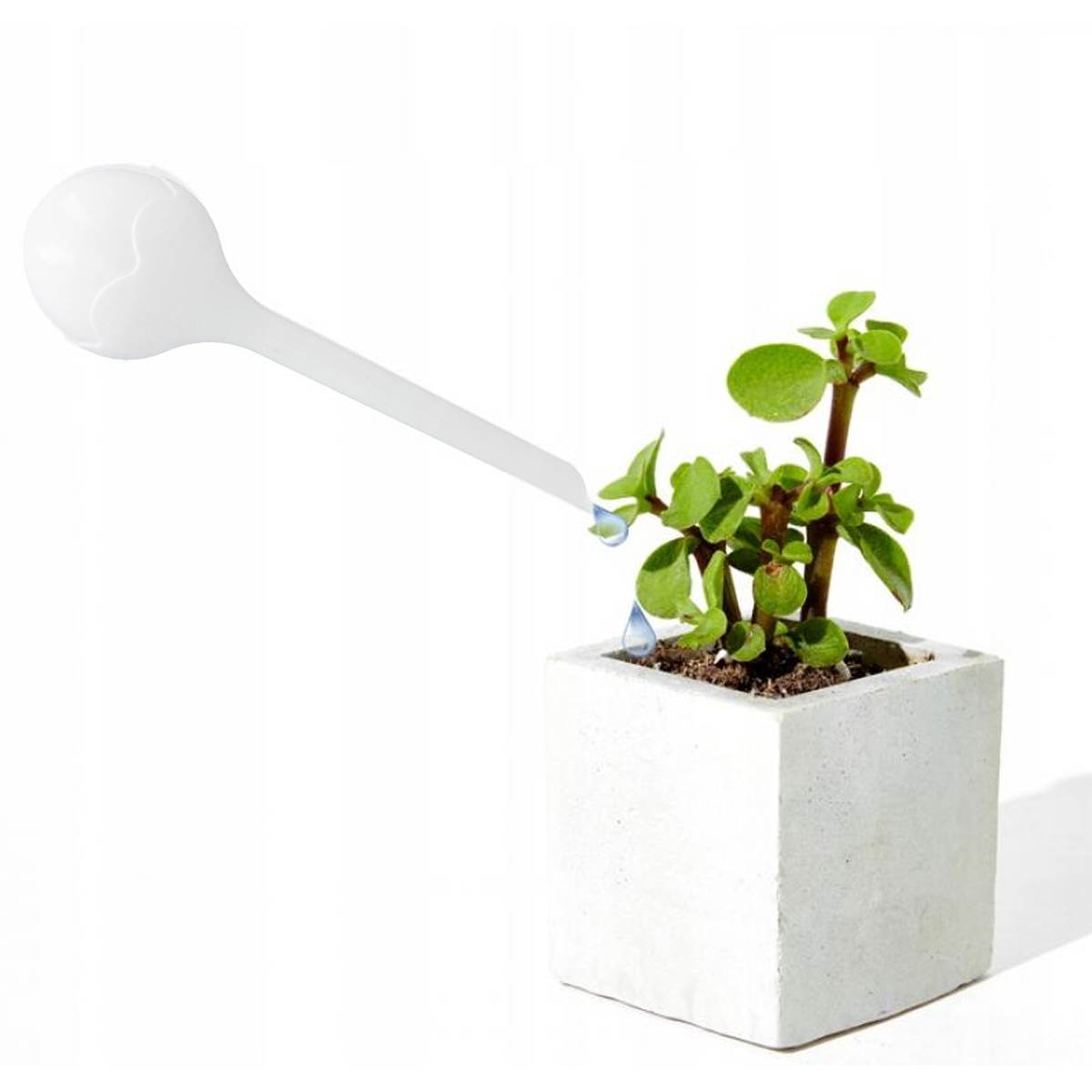 Imagine necunoscută