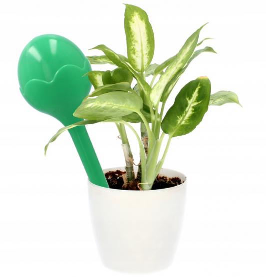 Imagine necunoscută