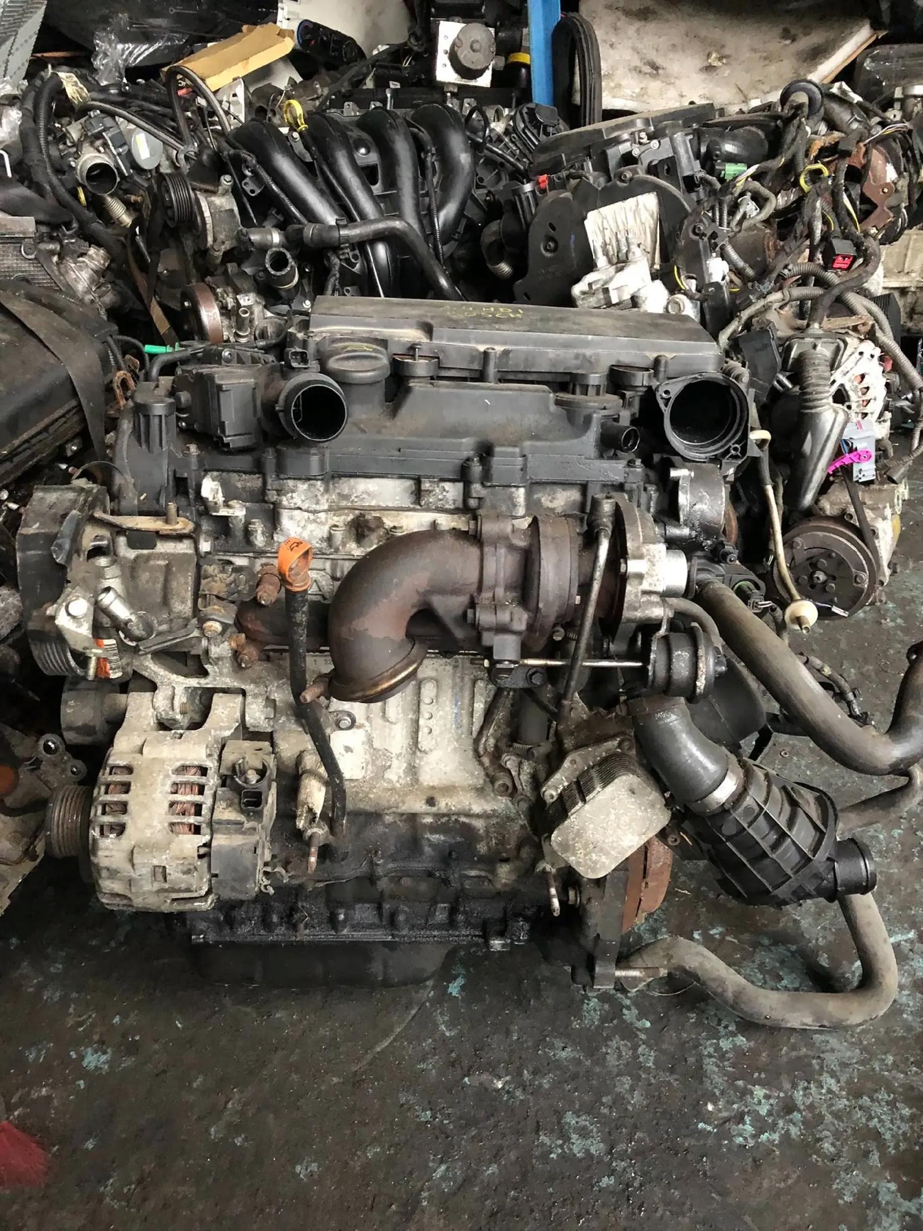6daf6be69a7b9a20ff3d93624a795a99.jpg