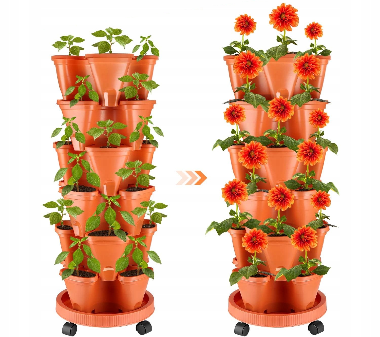 Imagine necunoscută