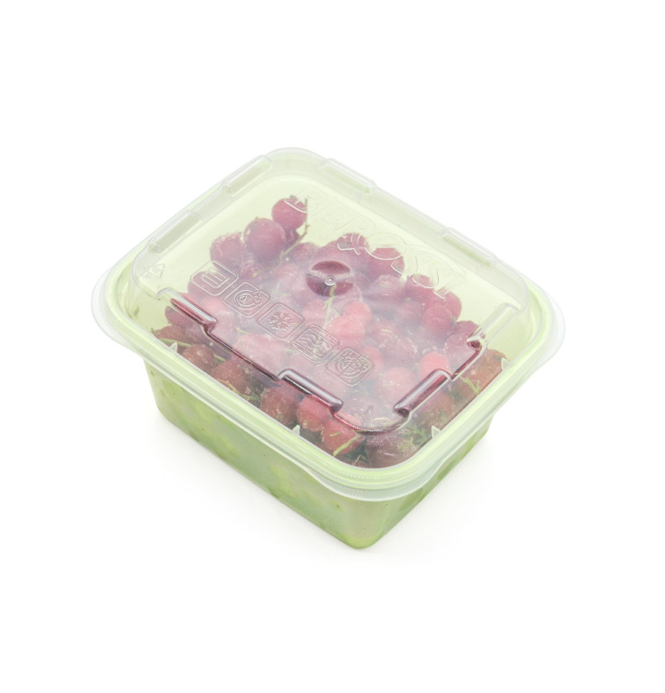 Zestaw pojemników do zamrażania "Zip mini" 3 szt. [pistacja]