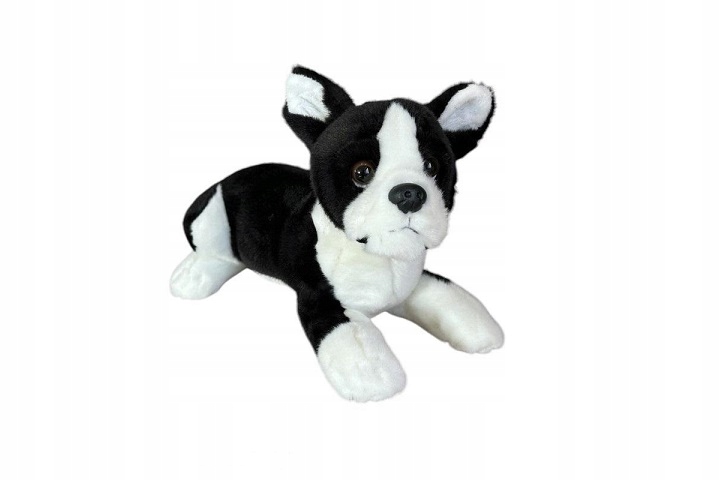 Pies boston terrier lezacy 28cm 32164