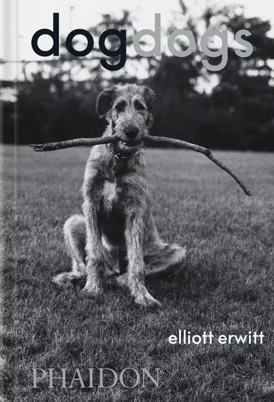 DogDogs wer. angielska