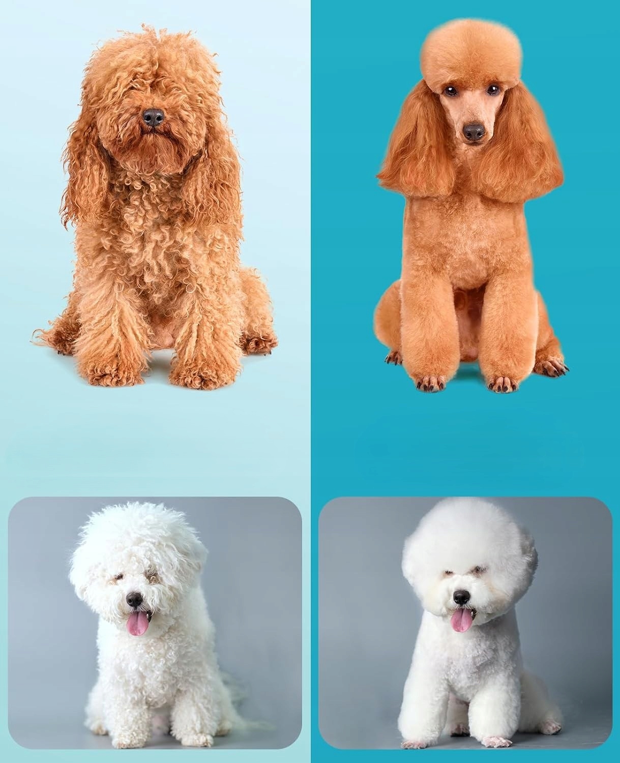 Profesjonalna Maszynka Do Strzyżenia Psów Psa Zwierząt Cicha Bezprzewodowa