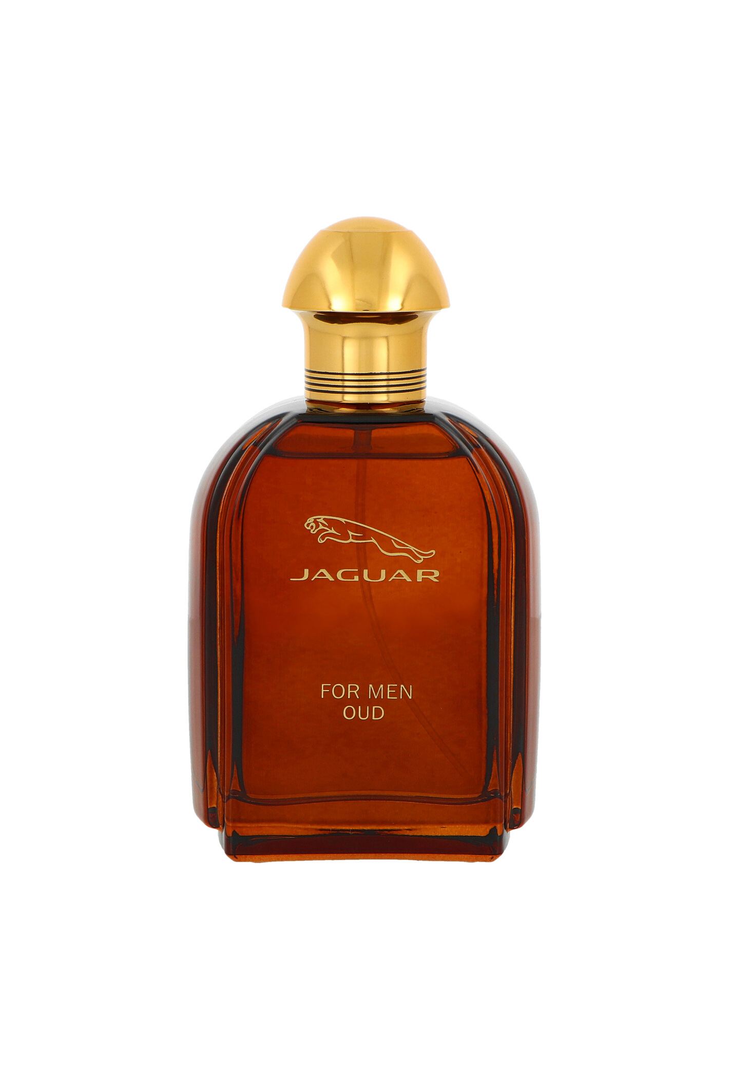 Jaguar For Men Oud Edp 100ml