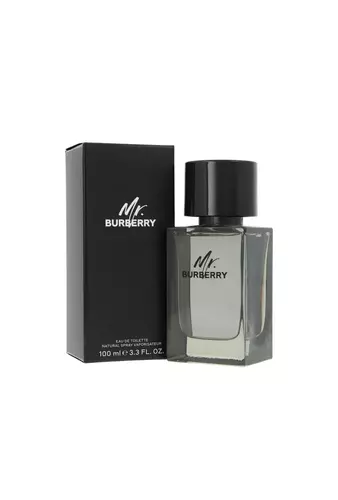Burberry Mr. Burberry Edt 100ml miniatura