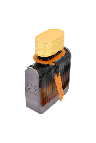 Flavia Excellus First Pour Homme Edp 100ml miniatura