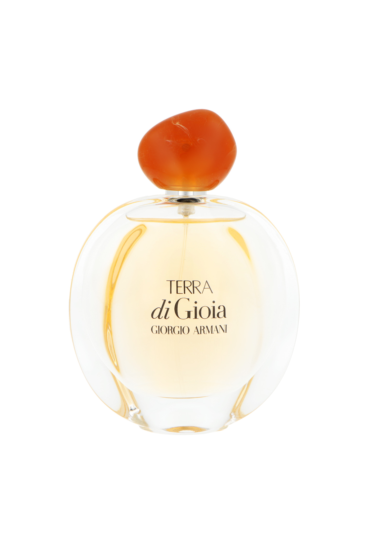 Armani Terra Di Gioia Edp 100ml
