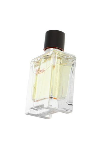Hermes Terre D`Hermes Edt 50ml miniatura