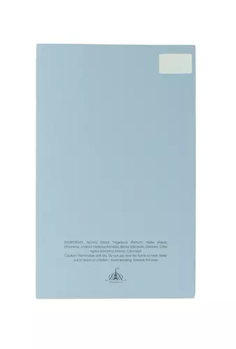 Paris Corner Ministry of Oud Maestro`s Symphony Edp 100ml miniatura