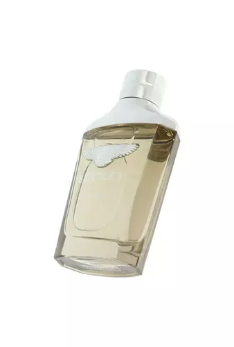 Bentley Infinite Edt 100ml miniatura