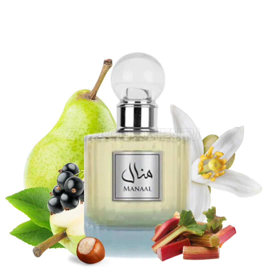 Paris Corner Manaal Edp 100ml