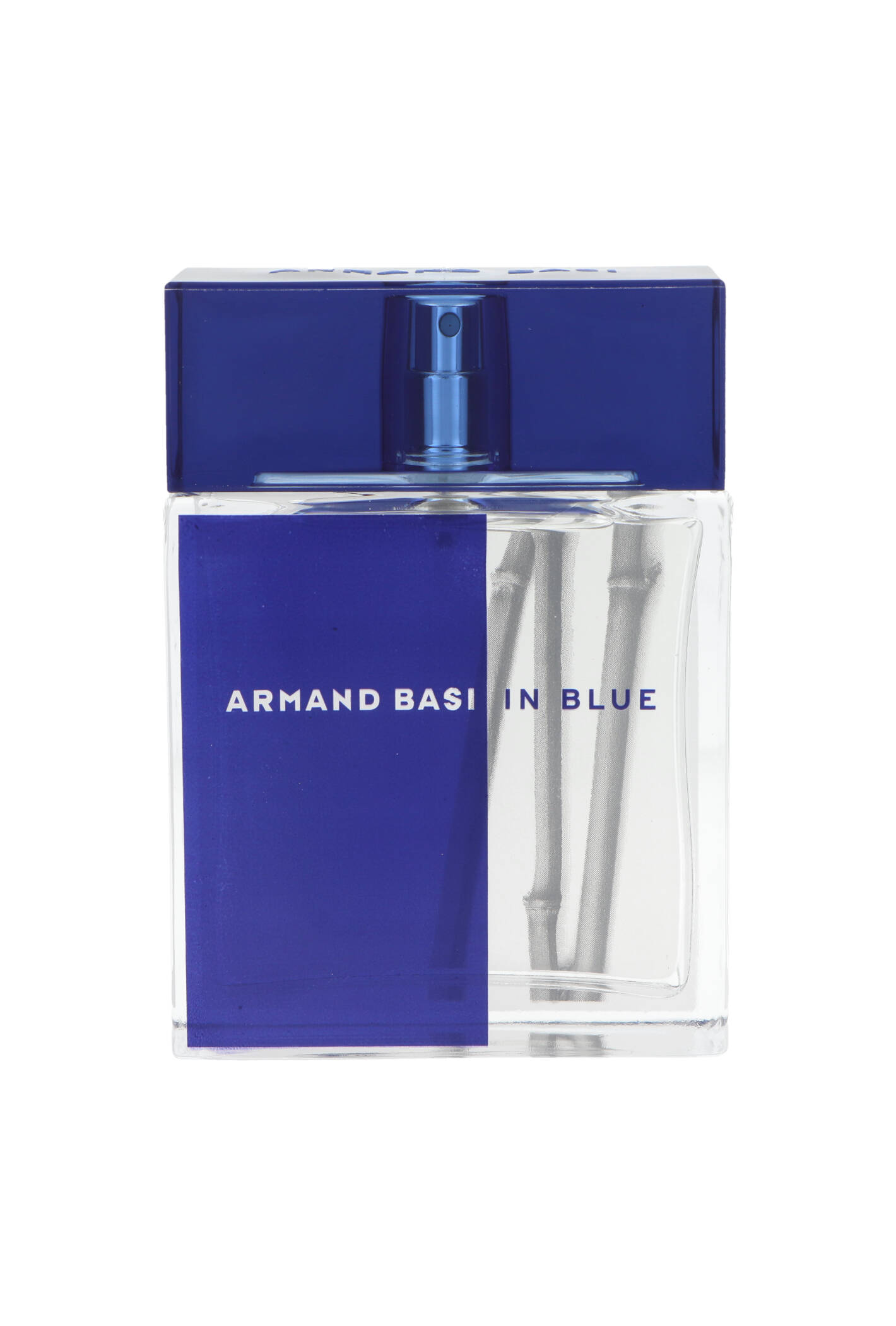 Armand Basi In Blue Edt 100ml