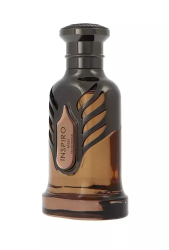 Riiffs Inspiro Men Edp 100ml miniatura