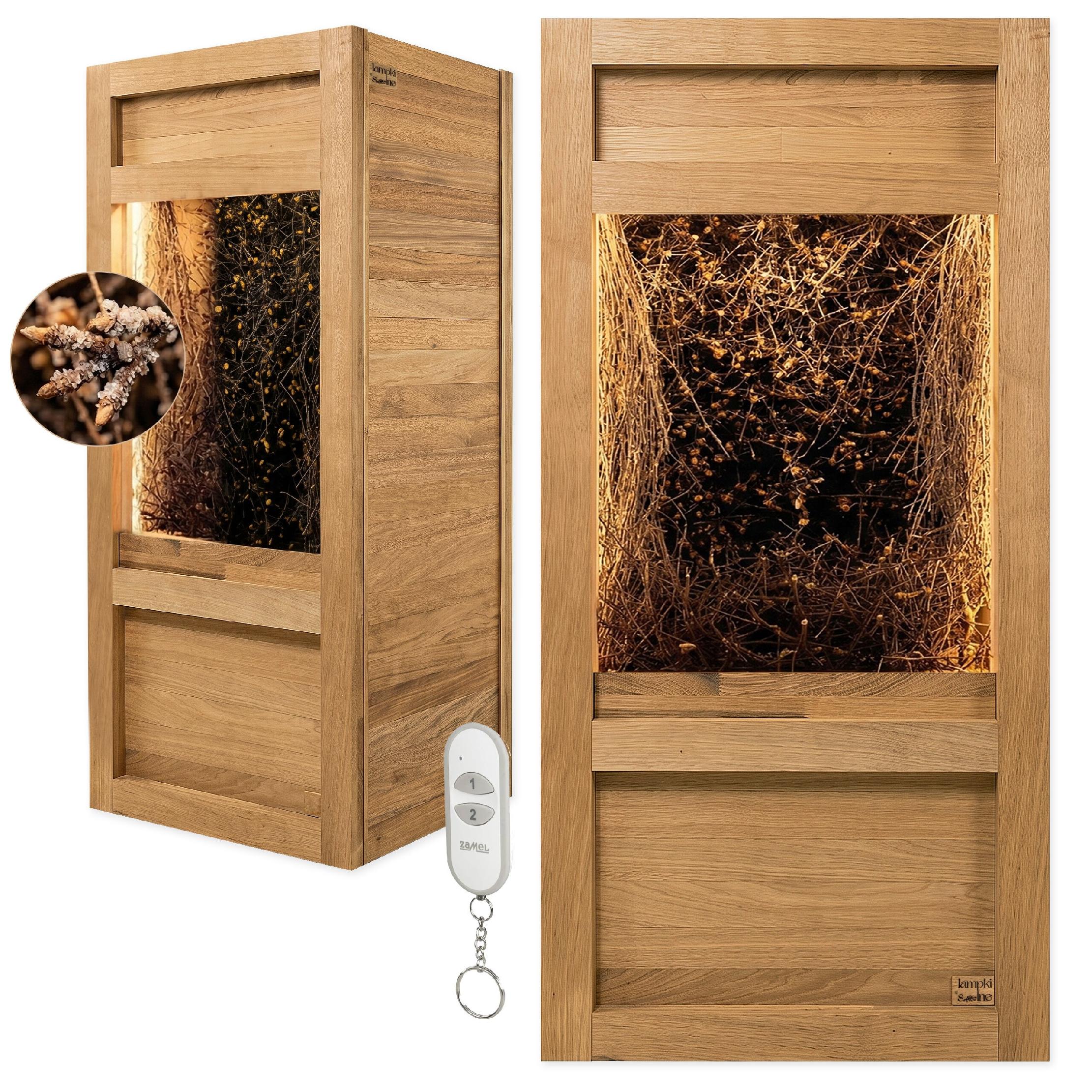 Tężnia solankowa Iroko