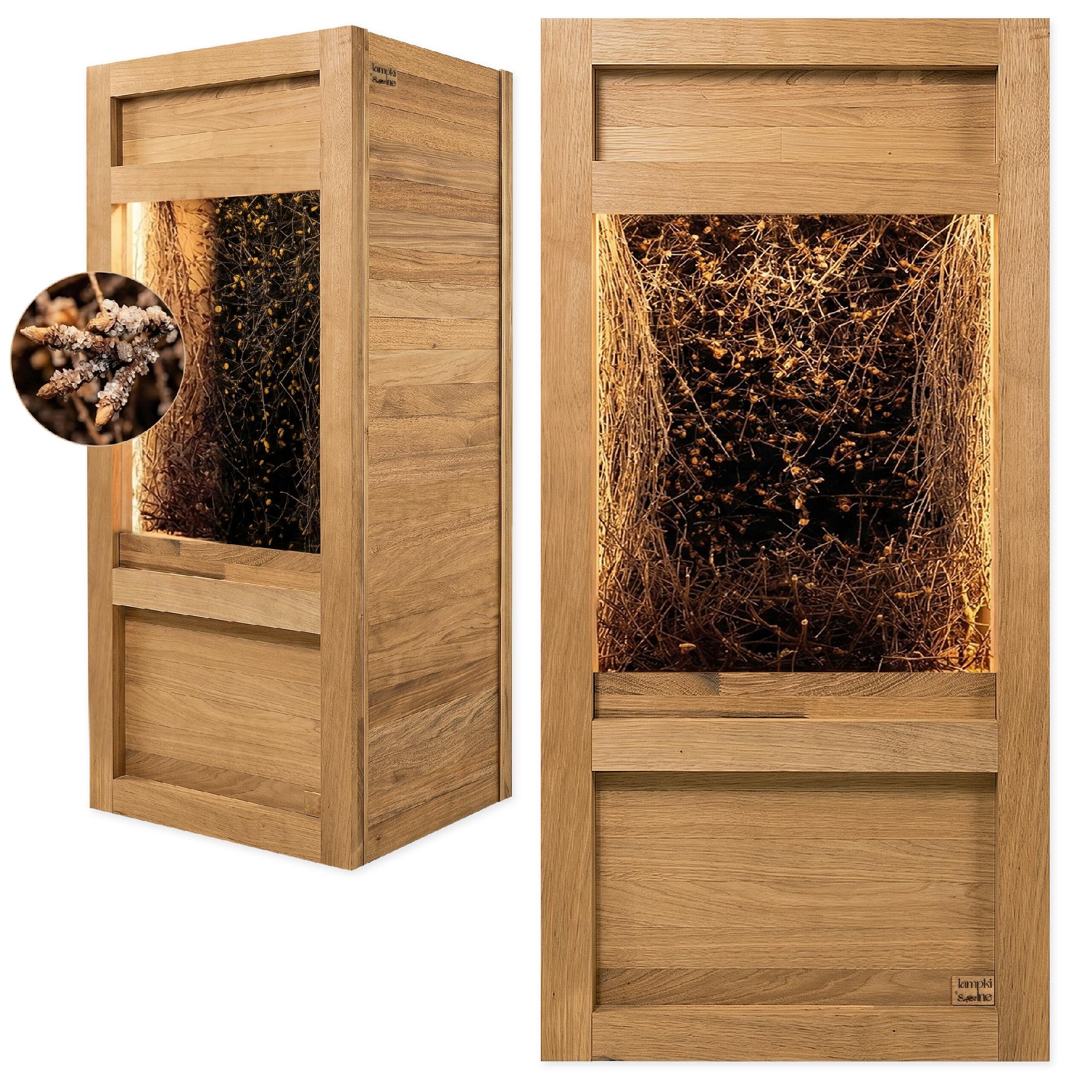 Relaks przy tężni solankowej