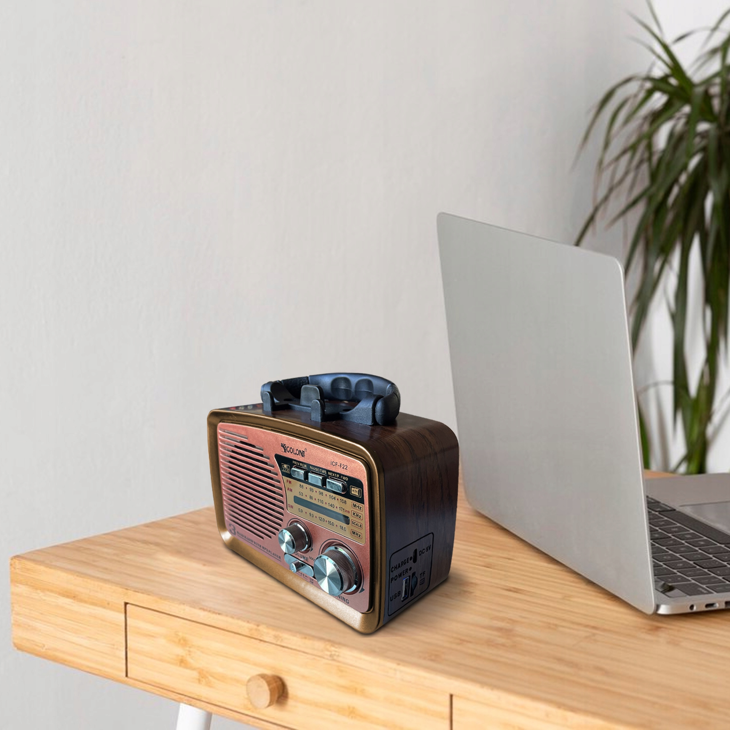 Radio baterie AM RETOO E972-2