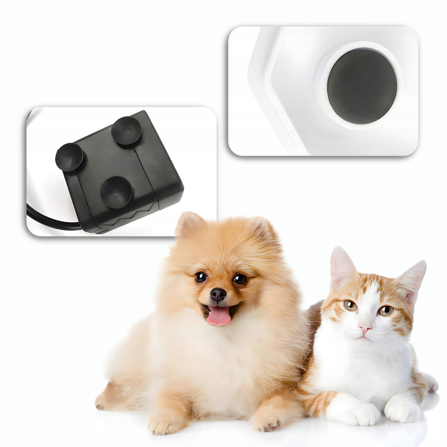 Poidło z fontanną DexXer plastik 2500 ml