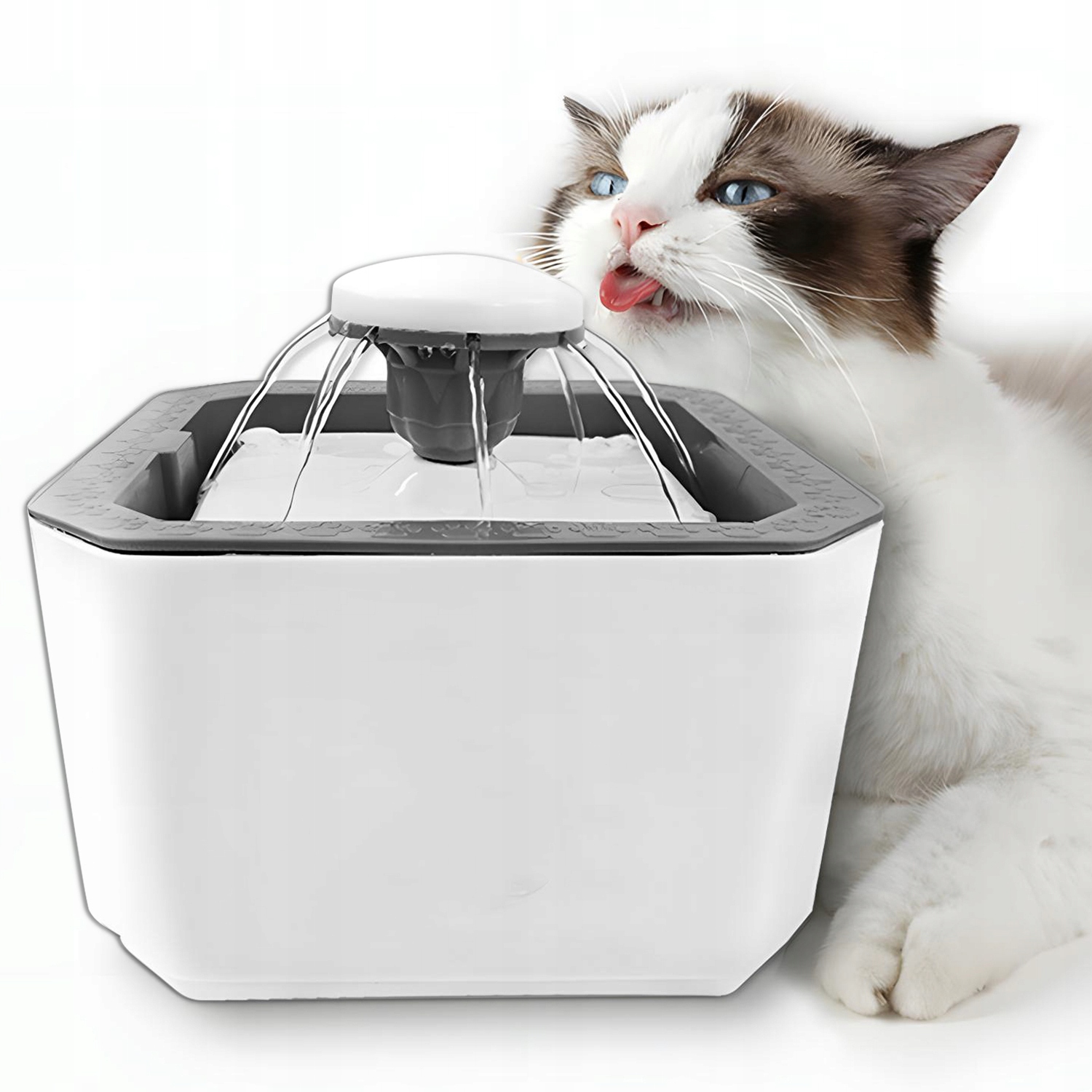 Poidło z fontanną DexXer plastik 2500 ml