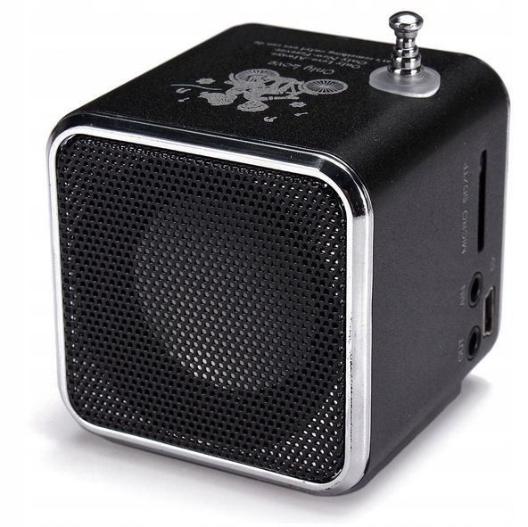 Radio sieciowo-bateryjne FM RETOO TD-V26