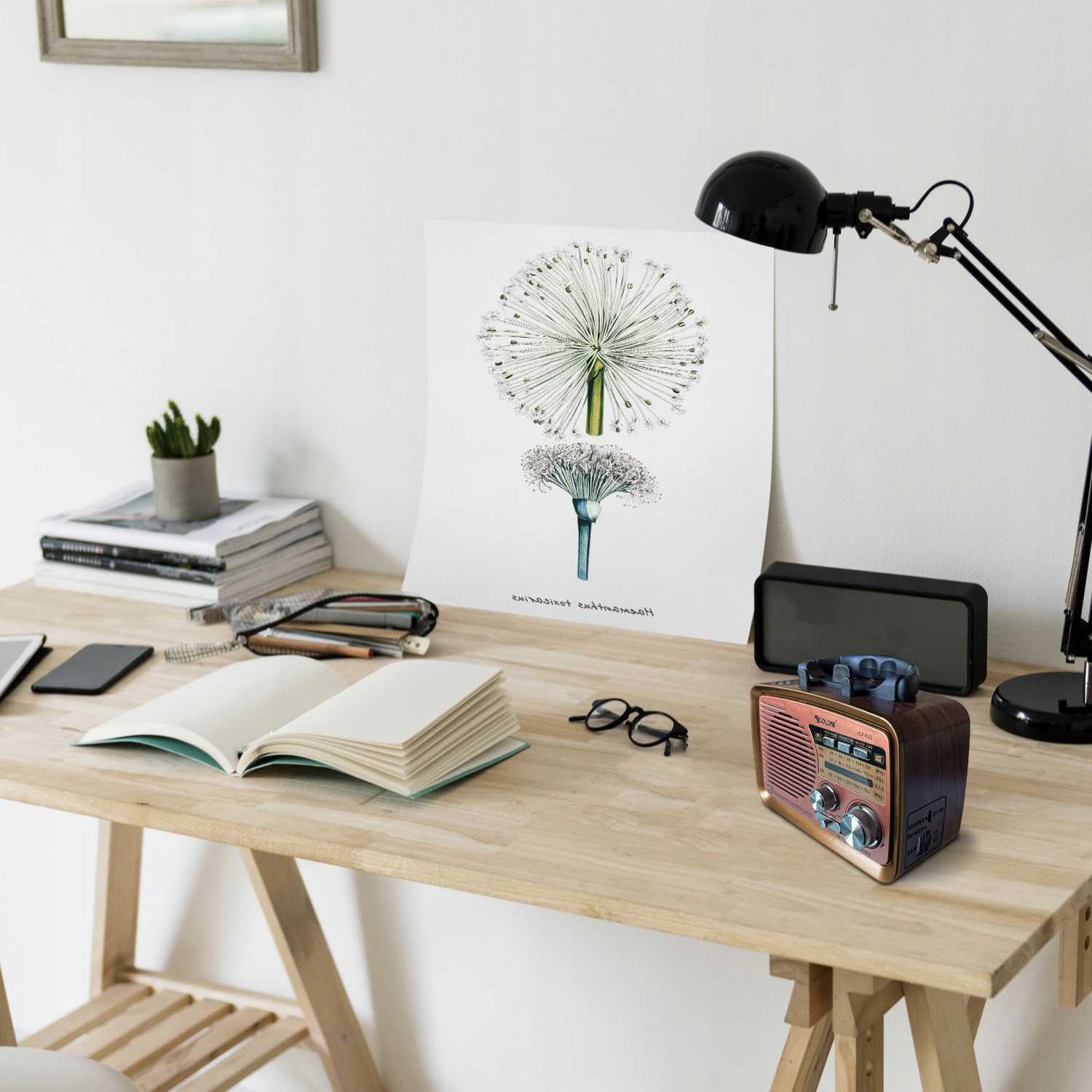 Radio baterie AM RETOO E972-2