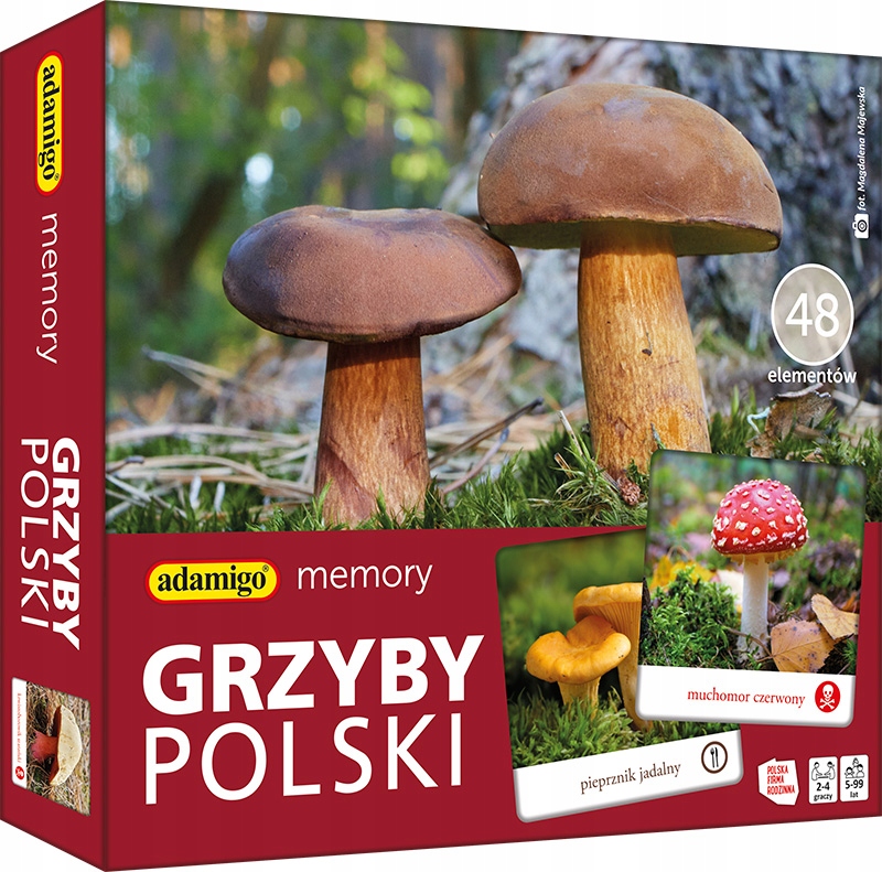 Adamigo GRZYBY POLSKI - adamigo memory – zdjęcie produktu