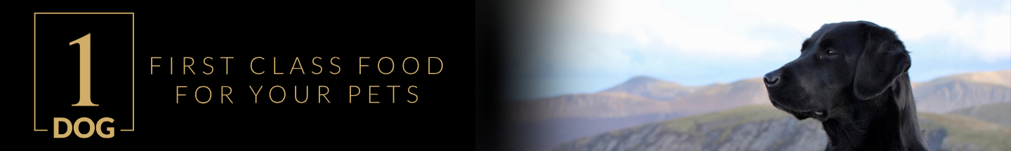 Hundefutter Trockenfutter Getreidefrei für ältere Hunde mit Pute Ente 12kg 1DOG - Bild 7 von 11