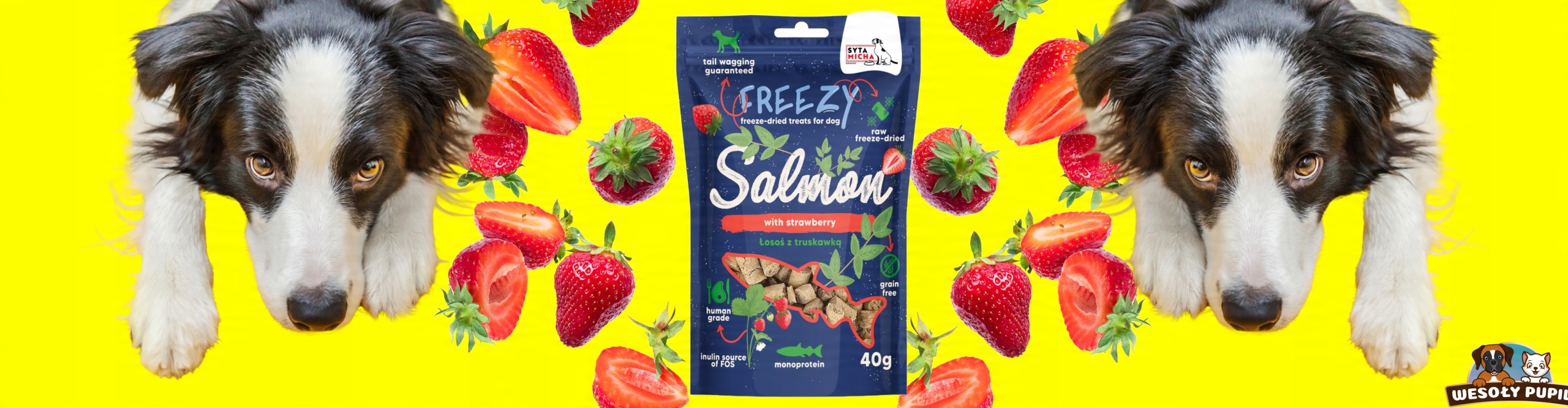 syta micha liofilizowane przysmaki Łosoś z truskawką freezy 40 g syta micha liofilizowane przysmaki Łosoś z truskawką freezy 40 g